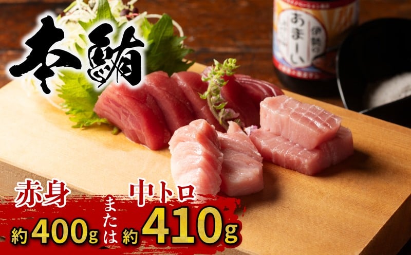 
             本マグロ 中トロ 410g  赤身 400g 不揃い マグロ 鮪 切り落とし 伊勢志摩まぐろ食堂 国産マグロ クロマグロ 刺身 刺し身 わけあり 魚 魚介 国産 養殖 三重 南伊勢町 伊勢 志摩 1万円台 10000円台
          