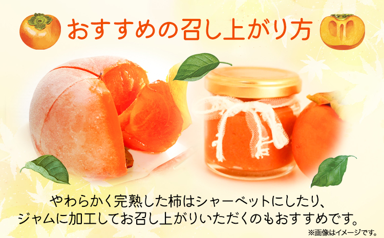 秀品和歌山秋の味覚富有柿約4kg化粧箱入株式会社魚鶴商店《2024年11月上旬-12月上旬頃出荷》柿富有柿フルーツ---wsh_uot29_ad1112_24_18000_4kg---