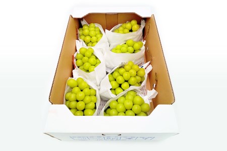 【2024年9月～10月発送分先行受付】「秀品」山形のぶどう（シャインマスカット）4.5kg以上(5～9房)_H135(R6)