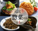 【ふるさと納税】 【惣菜の定期便【近江牛惣菜の会】全4回】 肉 牛肉 ハンバーグ 肉みそ コロッケ すじ 煮込み ブランド牛 三大和牛 和牛 黒毛和牛 おかず お惣菜 滋賀県 竜王