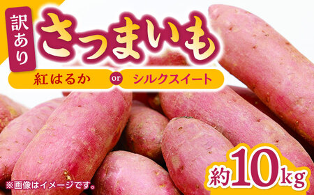 【数量限定】さつまいも 紅はるか or シルクスイート 蜜芋 10kg【合同会社 福福堂】さつまいも さつま芋 サツマイモ 熊本県産さつまいも 国産さつまいも [ZCN001]