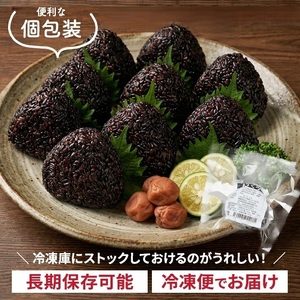 SA2861　まっくろ 玄米おにぎり　90g×10個