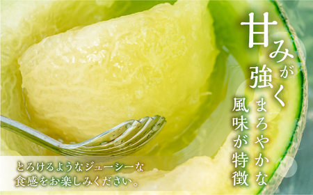 【先行予約】メロン 3L×2玉入 アールスメロン T-farm