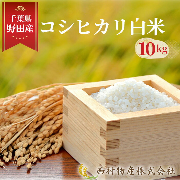 【ふるさと納税】 野田産コシヒカリ白米10kg ／ 米 10kg お米 おこめ こしひかり ご飯 ごはん 旨み 香り 早場米 送料無料 千葉県 No.148