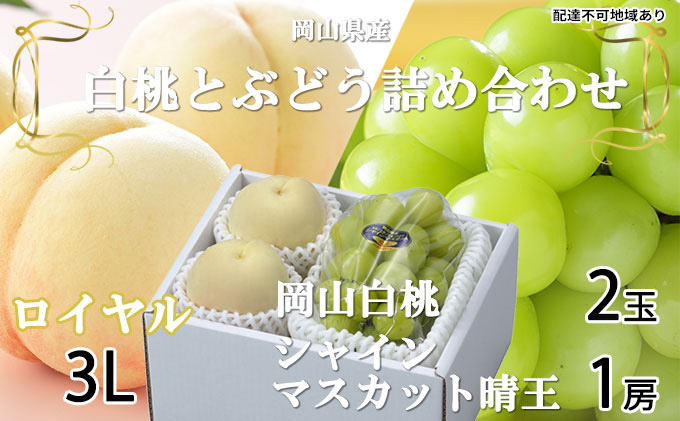 桃 ぶどう 2026年 先行予約 岡山 白桃 ロイヤル 2玉×約300g（3Lサイズ、早生種・中生種）シャイン マスカット 晴王 1房約600g  詰め合わせ 岡山県産 フルーツ 