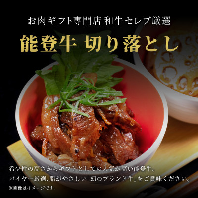 
                  能登牛 切り落とし 300g【1556785】
                