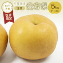 【ふるさと納税】【先行予約／数量限定20】愛宕梨 秀品 5kg（5～12玉入り）（2025年12月上旬～発送） 国産 あたご梨 赤梨 5〜12 個 玉 ふるさと 納税 梨 なし ナシ 5kg ふるさと 納税 先行予約 期間限定 ふるさと 納税 フルーツ くだもの 果物 農家直送