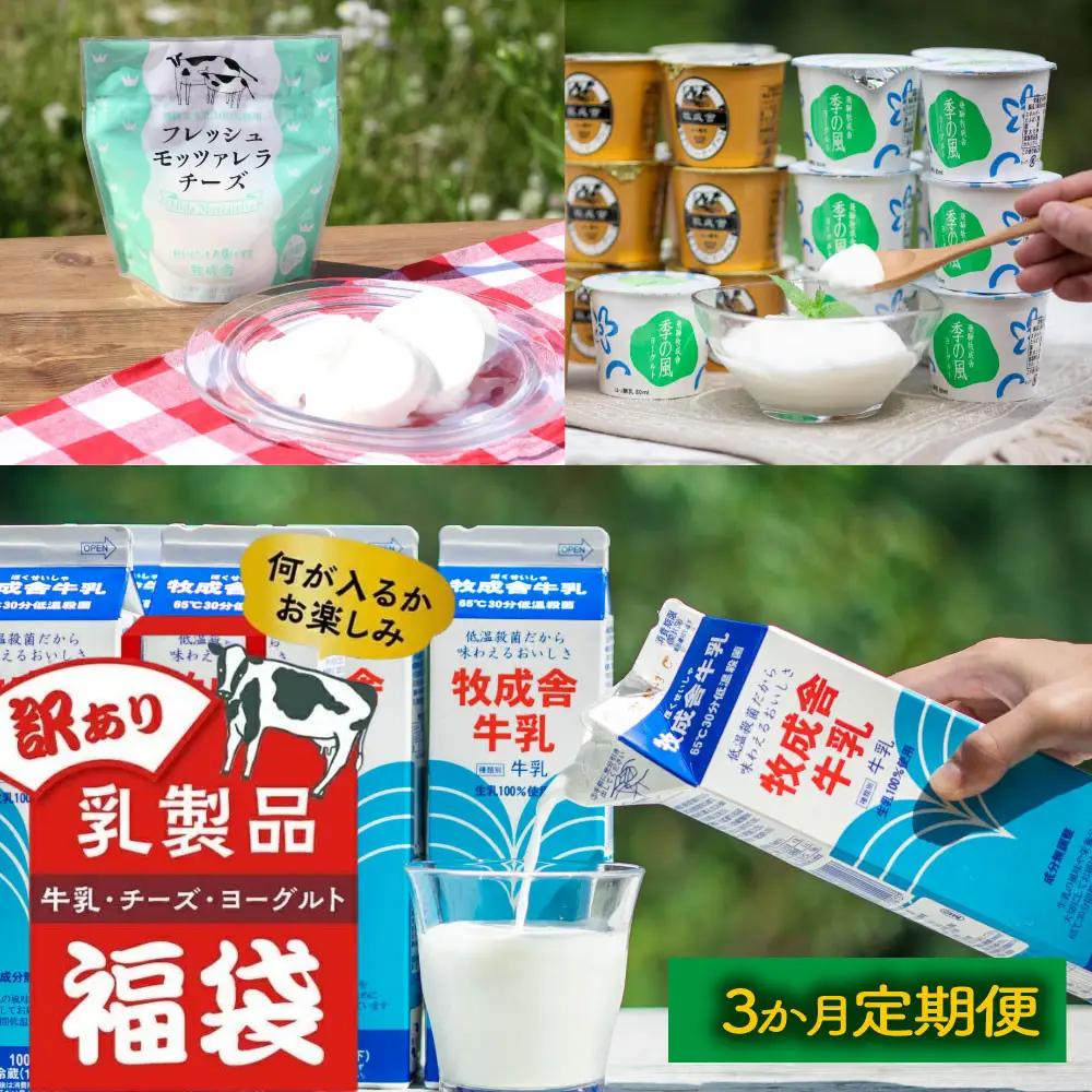 【3か月定期便】牧成舎の訳あり乳製品福袋（牛乳・ヨーグルト・チーズ詰め合わせ）訳あり 福袋 DF228
