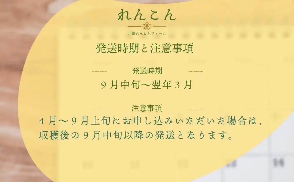 れんこん 無選別 1.5kg ｜レビュー☆4.54・テレビ紹介 千葉県神崎町の蓮根  ※4～9月上旬受付分は9月中旬以降順次発送【ふるさと納税 人気 野菜 蓮根 レンコン きんぴら 訳あり 無選別 1