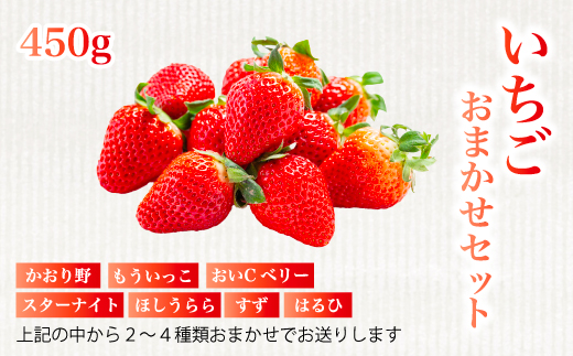 
            フルーツ農園のおまかせ【いちご】 450g イチゴ 苺 フルーツ 果物 広島県 三原市 059022
          