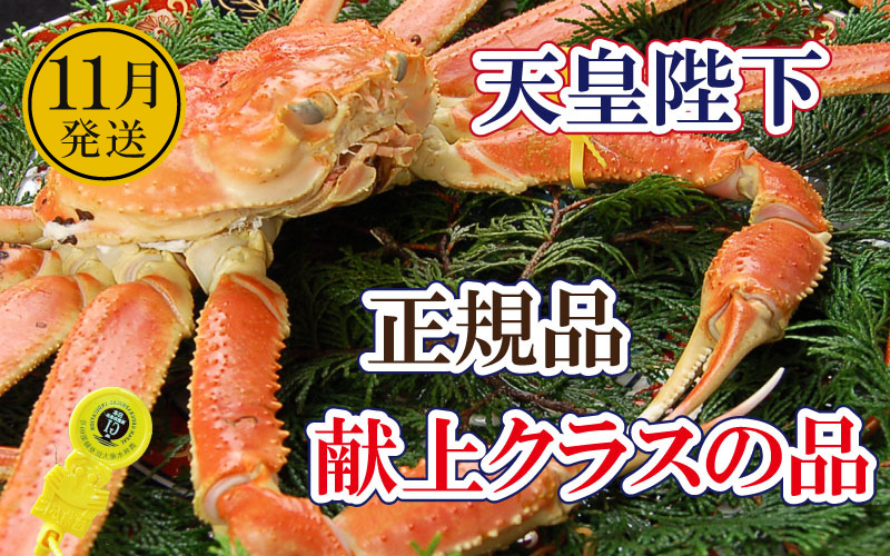 
                  誉れ高き越前がに「皇室献上級」 × 1杯 桐箱入り！【雄 ズワイガニ ずわいがに 姿 生 ボイル 冷蔵 福井県】【11月発送分】希望日指定可 備考欄に希望日をご記入ください [e37-x011_11]
                