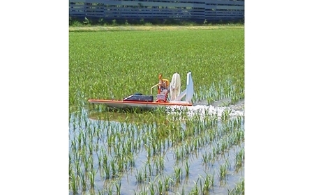【令和5年産】北海道岩見沢産くすのきファームのたべくらべ玄米2種セット（ゆめぴりか・ななつぼし　各5Kg　計10Kg）【34142】