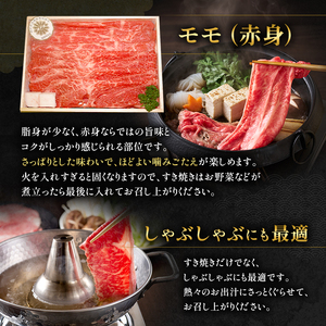神戸牛 すき焼き 食べ比べ 1kg Bセット 神戸牛