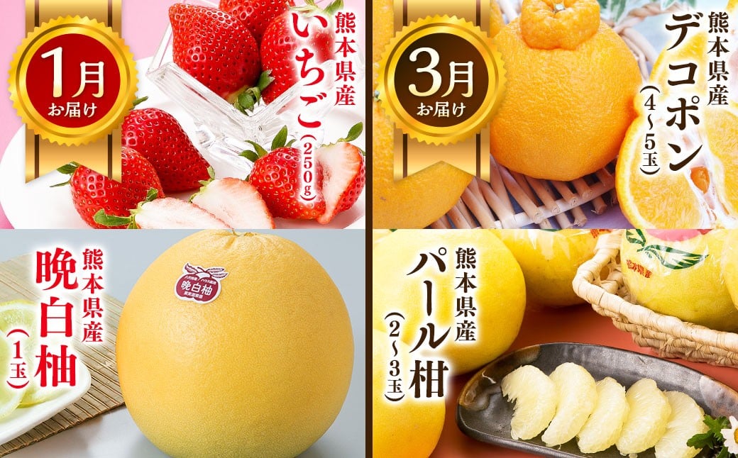 【6か月隔月定期便】旬の熊本フルーツ詰め合わせ定期便 