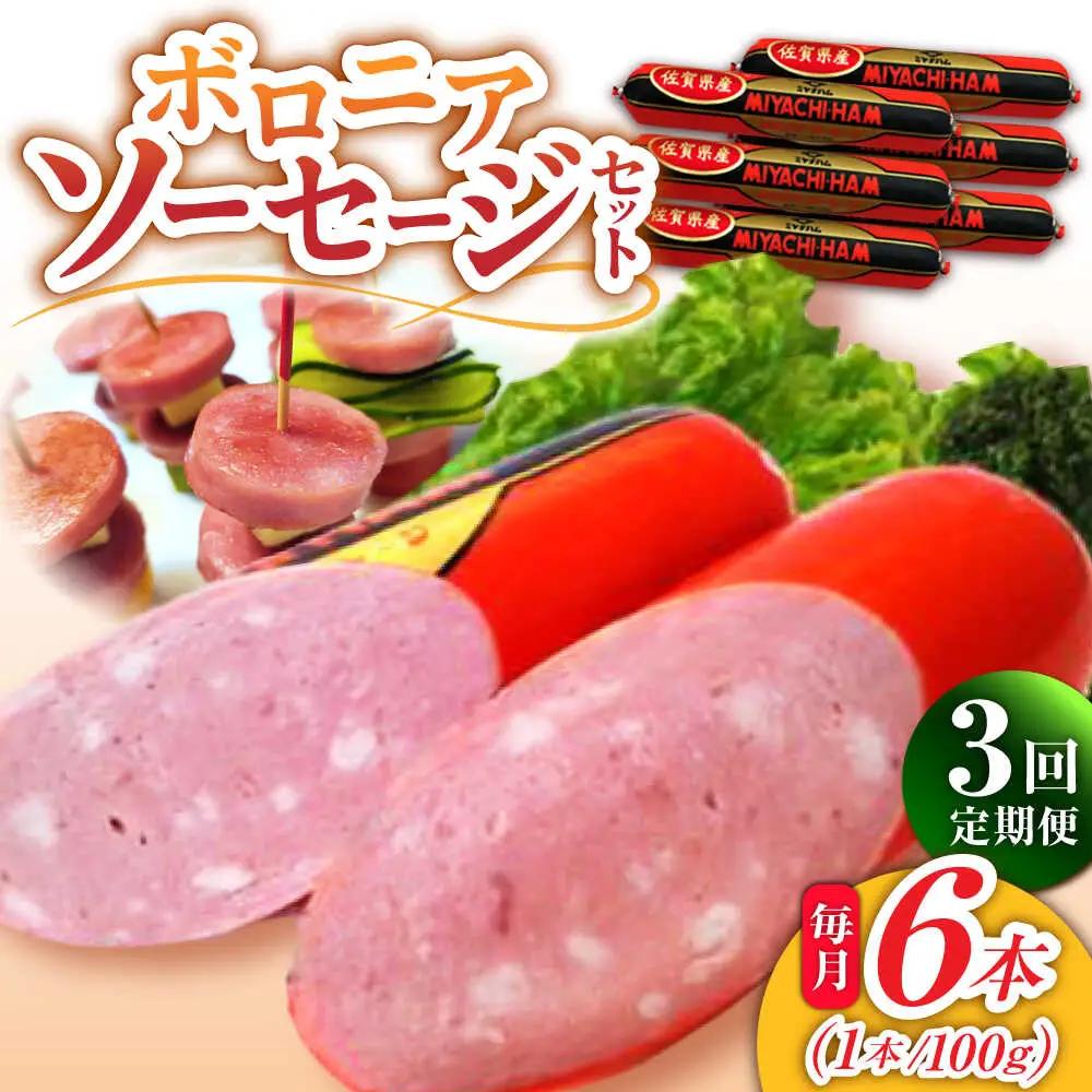【3回定期便】 ボロニアソーセージ6本 ソーセージ [UBM011]