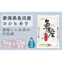 【ふるさと納税】【定期便全12回】無洗米新潟県魚沼産コシヒカリ5kg | お米 こめ 白米 食品 人気 おすすめ 送料無料