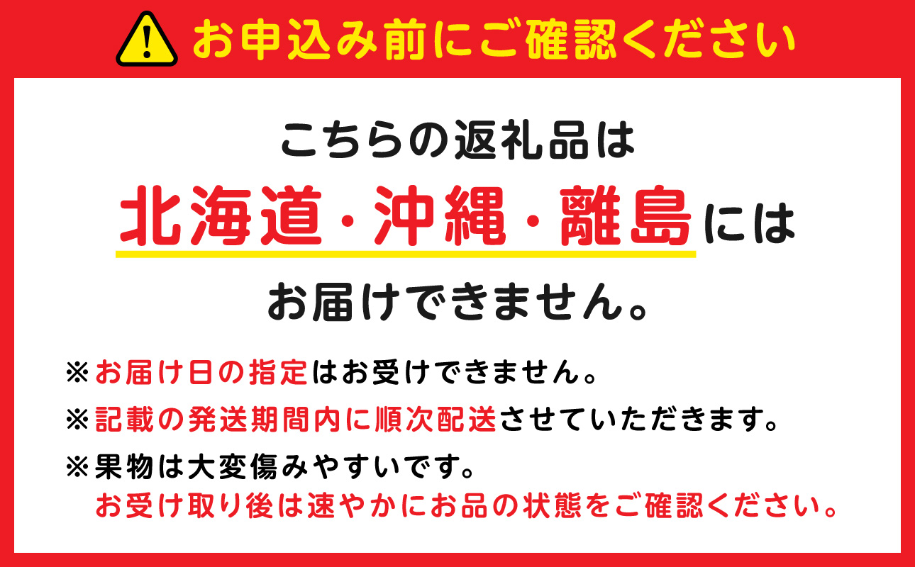 【2027年発送・先行予約】新高梨 3～6玉（約4kg） 化粧箱入り（令和9年9月下旬～11月上旬頃発送）【梨】