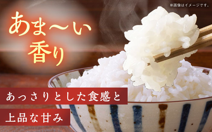 米 お米 ごはん コメ 白米 精米 10kg 国産 JA