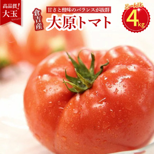 大原トマト 4kg【倉吉産】 トマト 野菜 サラダ