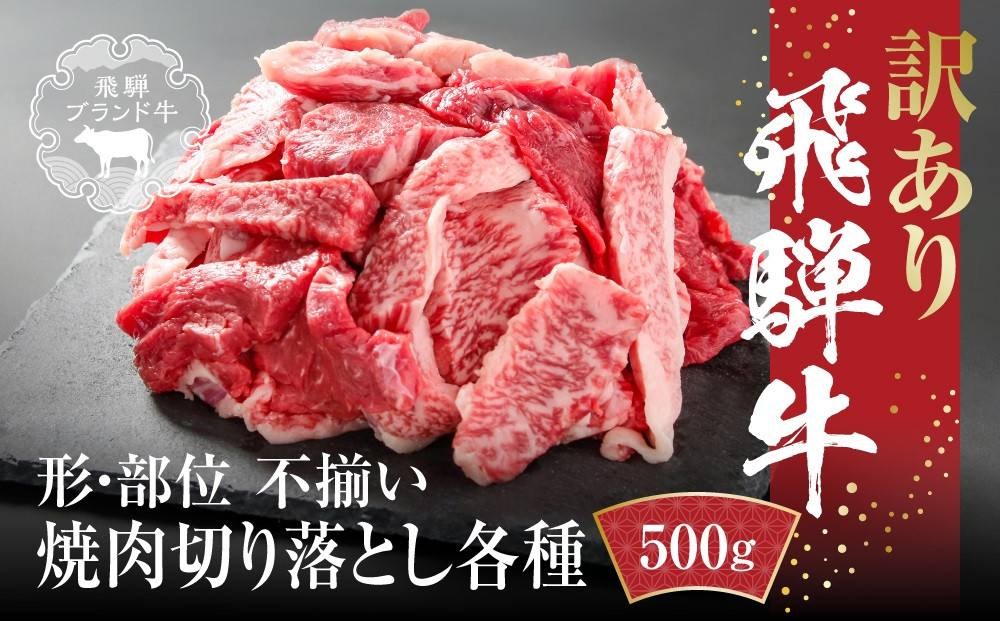 訳あり 飛騨牛 焼肉 切り落とし 500g 冷凍真空パック | 肉 お肉 切落し 不揃い 焼肉 焼き肉 やきにく 黒毛和牛 和牛 人気 おすすめ 牛肉 ギフト お取り寄せ【飛騨高山ミート MZ013】