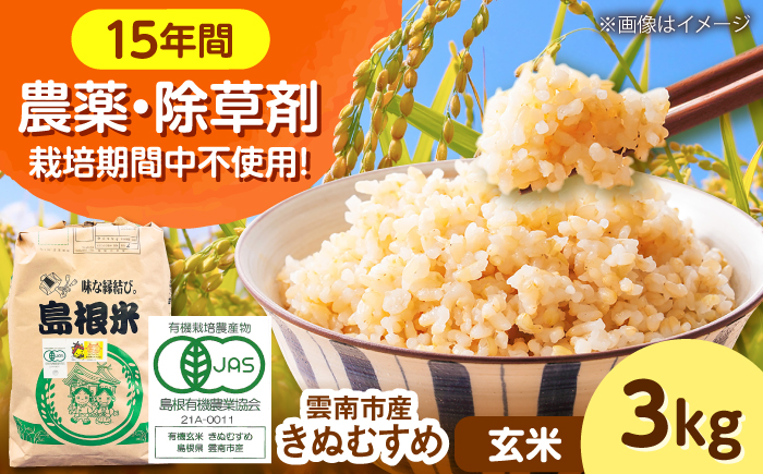 【有機JAS認証】令和7年産 玄米 雲南市産きぬむすめ 3kg 島根県雲南市/佐藤ファーム ｜玄米 コメ 有機栽培 美味しまね認証 [AIEO005]