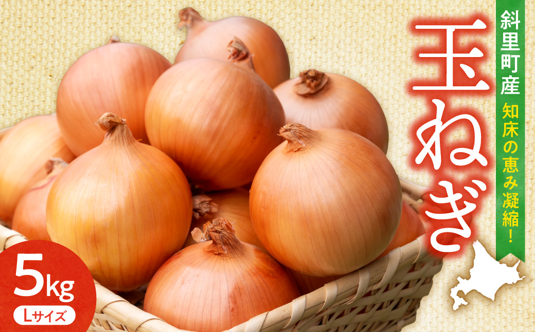 【先行予約】産地直送 知床の恵み凝縮!斜里の玉葱Lサイズ5kg　産地直送