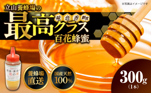 立山養蜂場 国産 百花 蜂蜜 300g はちみつ【一般社団法人クラッシーノこうし】蜂蜜 はちみつ ハチミツ 国産 純粋はちみつ 百花はちみつ ハニー 二ホンミツバチ 日本ミツバチ 保存食 常温 備蓄 防災食 非常食 養蜂場 直送 熊本県 合志市  [AYAB039]