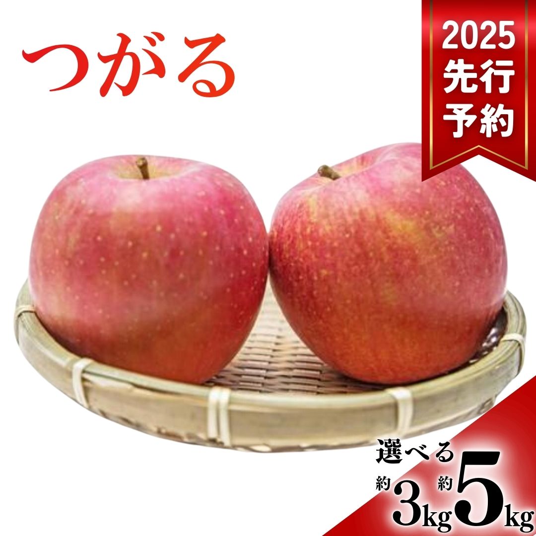 【ふるさと納税】【2025年先行予約】りんご つがる 3kg / 5kg 林檎 リンゴ 信州 長野県産 千曲市