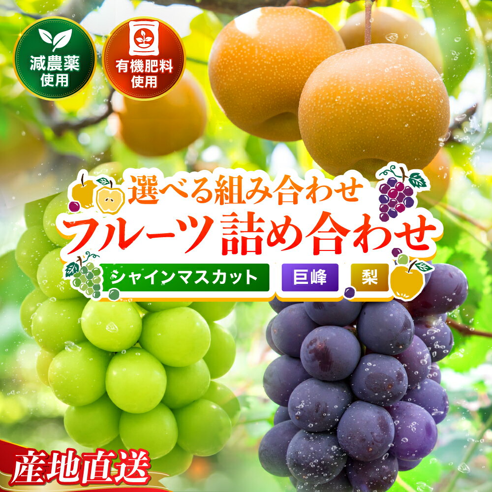 【ふるさと納税】【先行予約】糖度計使用 選べる 組み合わせ 内容量 巨峰 / シャインマスカット / 梨 詰め合わせ | ぶどう ブドウ 葡萄 マスカット なし ナシ 和梨 果物 フルーツ くだもの 大分県産 九州産 大分県 中津市【発送は2026年8月5日～2026年10月5日頃の予定】