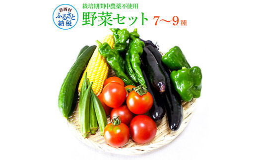 野菜セット（7‐9種類）栽培期間中農薬不使用！ 季節の野菜 旬 無農薬 野菜 やさい 新鮮 自然 健康 セット 詰め合わせ 冷蔵 美味しい おいしい 食べ物 食材 秋 旬の味覚 ご当地 お取り寄せ 芸西村 6000円 故郷納税 ふるさとのうぜい 返礼品 高知県産 高知