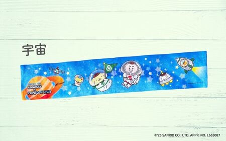 【小松市限定デザイン】 ポムポムプリン×カブッキー マフラータオル2枚セット（デザイン：宇宙・緑チェック） サンリオ キャラクター | 石川県 小松市