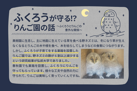 りんごとりんごジュースの定期便4回【2025年9月発送開始／先行予約／贈答規格】 りんご リンゴジュース定期便（サンふじ 早生ふじ サンつがる 青森  林檎 リンゴ 定期 りんごジュース）