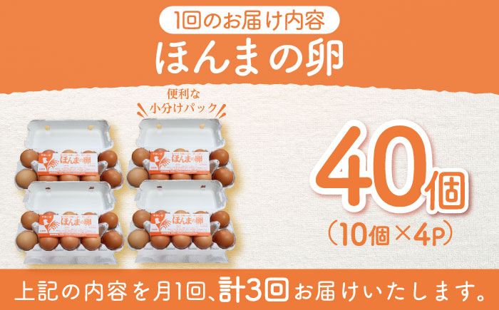 【全3回定期便】平飼いニワトリの有精卵！ほんまの卵定期便 計120個（40個×3回） / たまご 卵 平飼い / 佐賀県 / 本間農園 [41AJAA021]