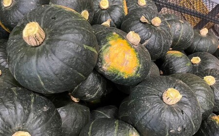 北海道産 かぼちゃ （ブラックのジョー） 約5kg セット 山田農場 南瓜 カボチャ 野菜 やさい 北海道 京極町 常温 【2026年10月上旬-11月上旬迄発送予定】