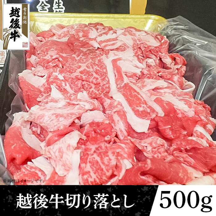 【ふるさと納税】63-45A新潟県産 越後牛切り落とし500g