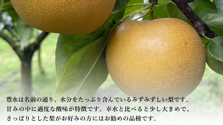 【 先行予約 】茨城県産 梨 豊水 約 5kg 11玉～16玉 ( 茨城県共通返礼品 : 常陸太田市 )  【 2024年 9月上旬頃より発送 】 フルーツ 果物 国産 日本産 梨 ナシ なし 和梨 