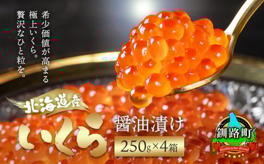北海道産 いくら醤油漬け 250g ×4箱 【配送日時指定可】 国産 いくら いくら醤油漬 しょう油 しょうゆ HACCP イクラ ikura 小分け 天然 鮭 鮭卵 鮭いくら 魚卵 冷凍 配送時期が選べる 配送 指定 配送日 選べる スピード発送 魚介類 海鮮 絶品 人気 笹谷商店 直営 釧之助本店 北海道 釧路町 釧路超 特産品 250-04