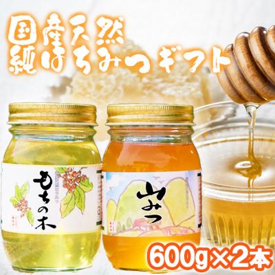 ふるさと納税 小郡市 はちみつ 化粧箱入り 600g×2本セット もちのき&amp;やまみつ ギフト[No5354-0321]