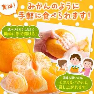 【ご家庭用訳あり】不知火 10kg