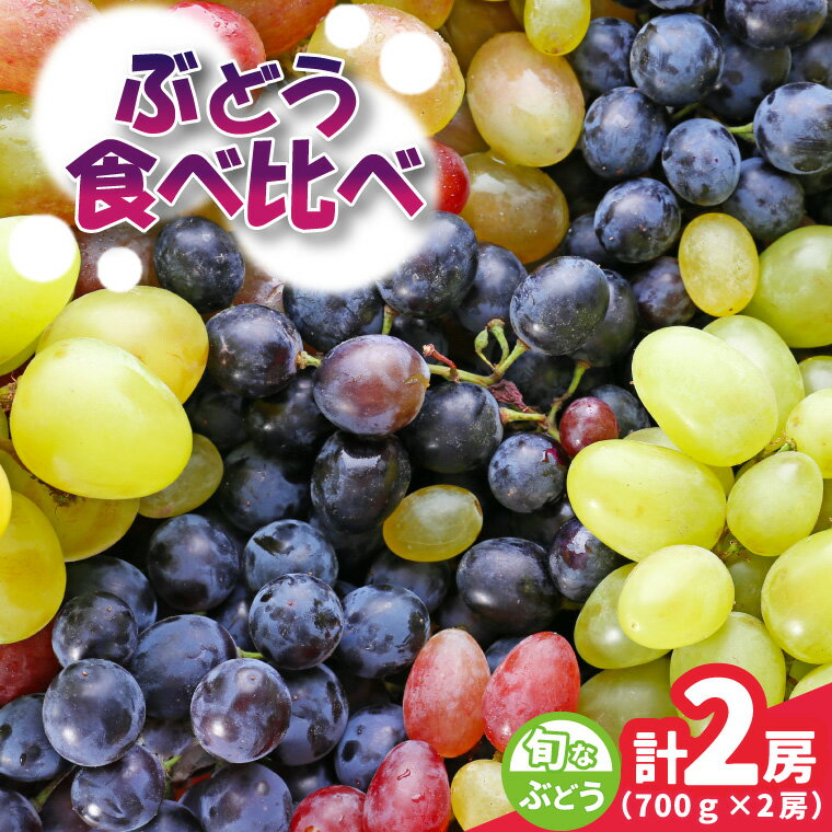 【ふるさと納税】旬なぶどう食べ比べ700g×2房　県内共通返礼品かすみがうら市産【配送不可地域：離島・沖縄県】 (BR183)