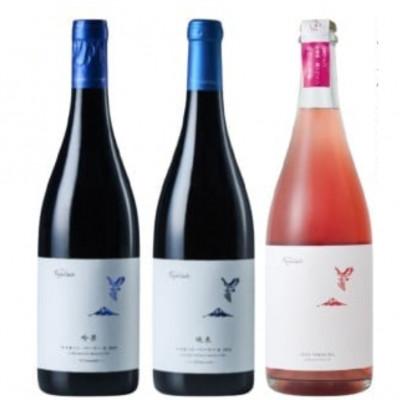 ふるさと納税 甲州市 フジクレール 吟果マスカット・ベーリーA・峡東マスカット・ベーリーA・ロゼスパークリング D-686