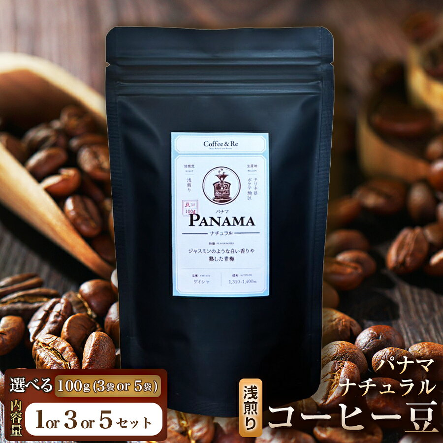 【ふるさと納税】【苦味控えめでブラックでも飲みやすい】コーヒー豆　パナマ ナチュラル（浅煎り）