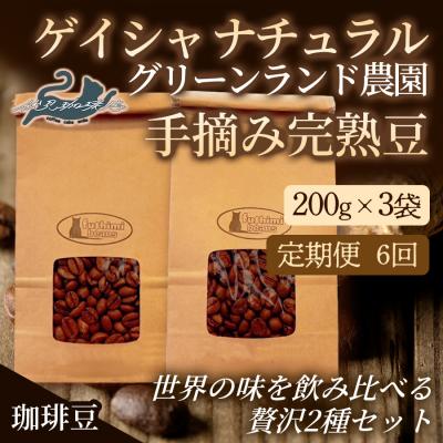 ふるさと納税 福島市 【6回定期便】世界の味飲み比べ贅沢2種【豆】200g×6袋No.3291