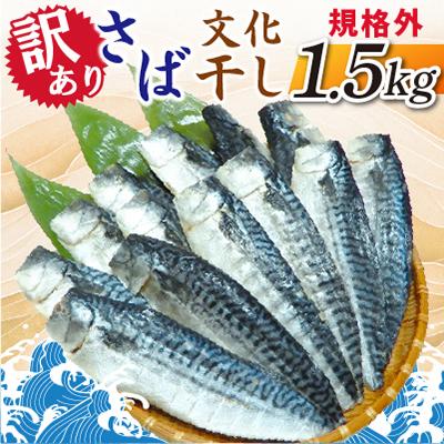 ふるさと納税 神栖市 【訳あり】規格外　さば文化干し　1.5kg