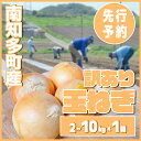 【ふるさと納税】 玉ねぎ 2 ～ 10kg 【先行予約 5～6月出荷】 ( ふるさと納税 玉ねぎ ランキング ふるさと 野菜 オニオン 甘い 玉葱 肉じゃが ハンバーグ 家庭用 大きさ不揃い 先行予約 2kg 5kg 10kg 愛知県南知多町 )