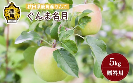《先行予約》秋田県鹿角産りんご 雪国育ちの 贈答用「ぐんま名月」5kg（20～23玉入）【山麓園】●2025年10月下旬発送開始 秋田県 鹿角産 りんご 食感 果汁 リンゴ 完熟 旬 県産 りんご 林檎 お中元 お歳暮 贈り物 グルメ ギフト 故郷 秋田 あきた 鹿角市 鹿角 蜜 送料無料