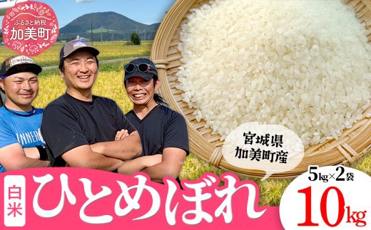 先行予約（2026年10月中旬～発送） 令和8年産 【精米】【10kg】 米 宮城県産 ひとめぼれ  ブランド米 白米 精米 ご飯 ごはん コメ こめ お米 小分け 家庭用 結心ファーム [ 宮城県 加美町 ]  | yu-hb10-r8