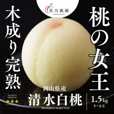 【ふるさと納税】【清水白桃】岡山県産 三つ星 星乃桃園 1.5kg (5〜6玉)【配送不可地域：離島】【1614285】