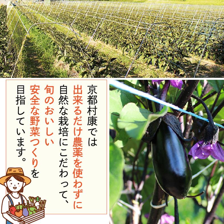 京田辺市産 ヒノヒカリ 10kg R7年度産 お米 米 こめ コメ 精米 白米 ごはん ご飯 弁当 おにぎり 防災 京田辺市 京都府