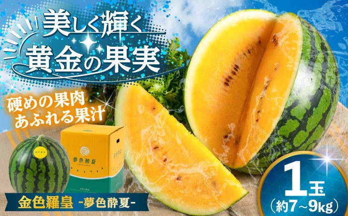 
                  【26年6月以降発送】夢色酔夏(すいか)（金色羅皇）1玉 7~9kg すいか スイカ 西瓜 黄色いすいか くだもの 果物 糖度 黄色 スイカ こんじきらおう  日田市 / JAおおいた 【配送不可地域：北海道・沖縄・離島】 [AREW003]
                
